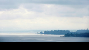 Deutlich weniger Unfälle auf dem Bodensee in vergangenem Jahr