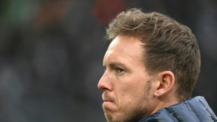 Nagelsmann entschuldigt sich bei Schiri Welz