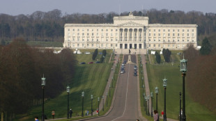 N.Ireland set for fresh elections as deadline to restart government expires