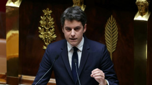 French PM warns of 'tipping point' in Ukraine