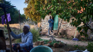 Au Zimbabwe, les éléphants trop nombreux menacent l'homme