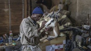 Los taxidermistas de Sudáfrica, amenazados por las posibles restricciones en Europa