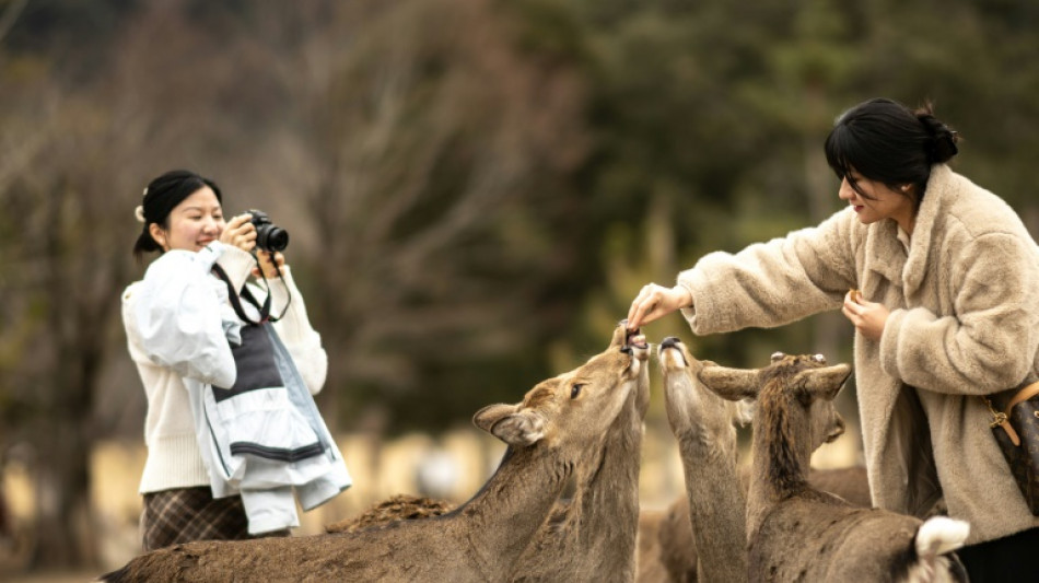 The squad saving deer from tourist trash in Japan's Nara