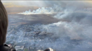 Balanço de mortos por incêndios florestais no Havaí sobe para 53