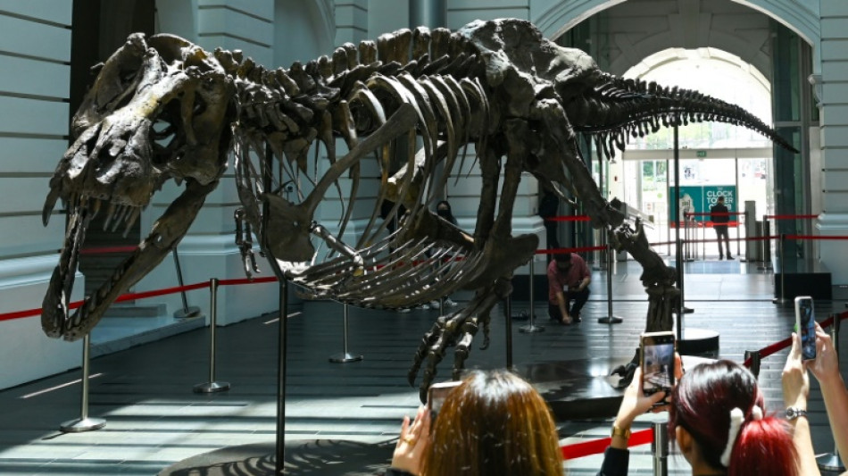 Christie's cancels controversial T-rex auction in Hong Kong