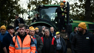 Los agricultores españoles se unirán al movimiento de protesta europeo