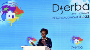 La Francophonie veut peser sur le règlement de crises en Afrique