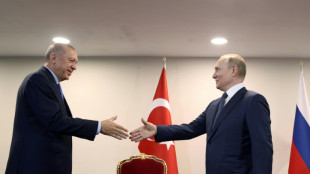 Erdogan chez Poutine pour le sonder sur l'Ukraine et la Syrie