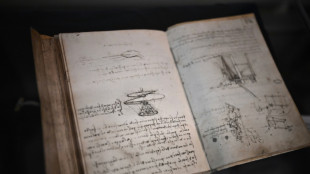 New research claims Leonardo da Vinci was son of a slave