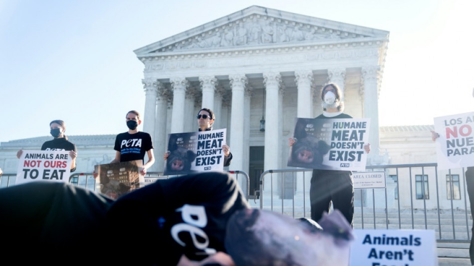 Pigs notch animal cruelty win at US Supreme Court