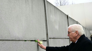 Steinmeier gedenkt des Mauerfalls 1989 - Scholz spricht von "Sieg der Freiheit"