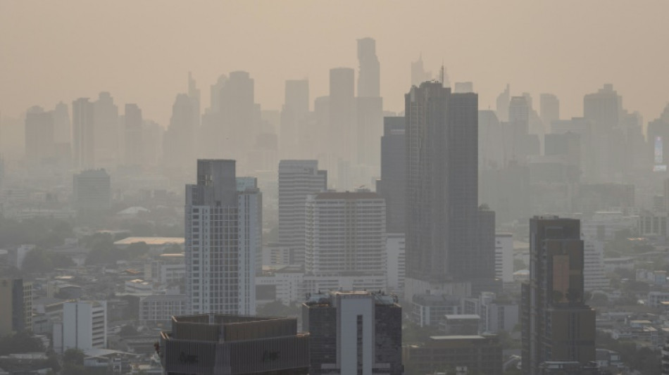 Thailand urged to halt crop burning after air pollution spike