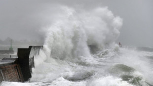 Avis de tempête: 11 départements du nord-ouest et du sud-est en vigilance orange vent