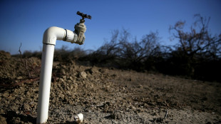 Unprecedented water curbs kick in for drought-hit Los Angeles