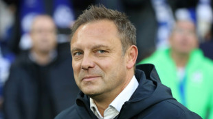 Breitenreiter wird neuer Hoffenheim-Trainer