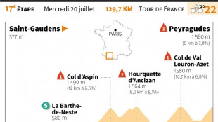 L'étape de mercredi du Tour: l'envol dans les Pyrénées 
