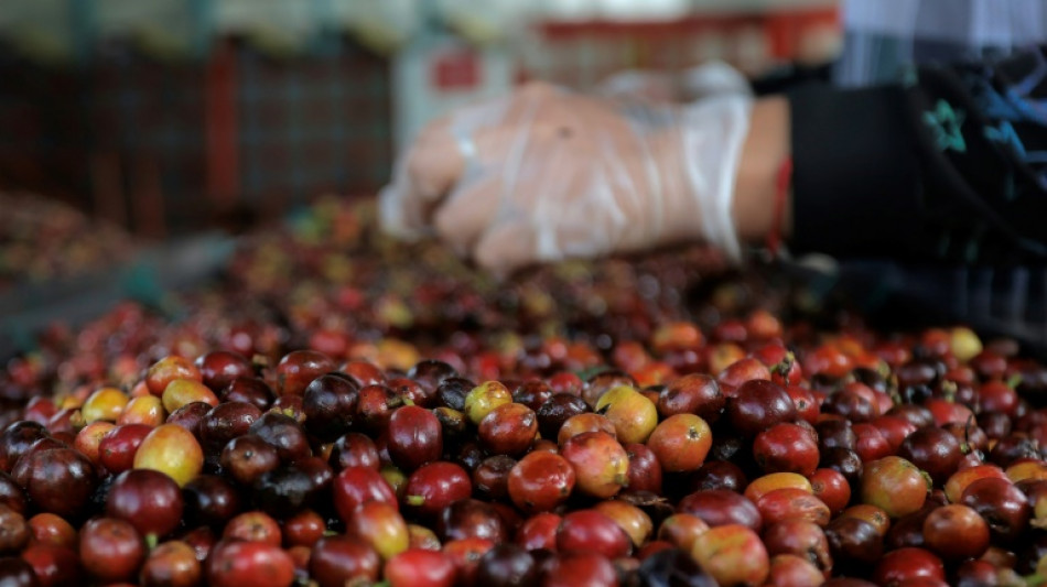 La economía de Colombia creció 1,7% en 2024, con el café como protagonista