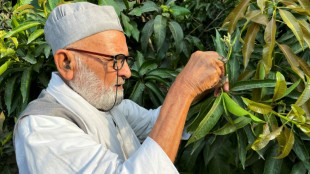 India's mango man, father of 300 varieties