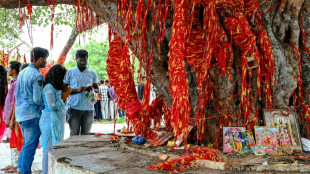 En Inde, un "temple des visas" pour espérer décrocher le sésame pour vivre le rêve américain