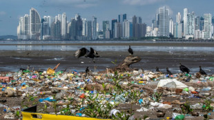 La conferencia mundial de los océanos comienza en Panamá con llamados a proteger la altamar