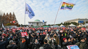 En Corée du Sud, K-pop et guillotines lors des manifestations massives pour la destitution de Yoon