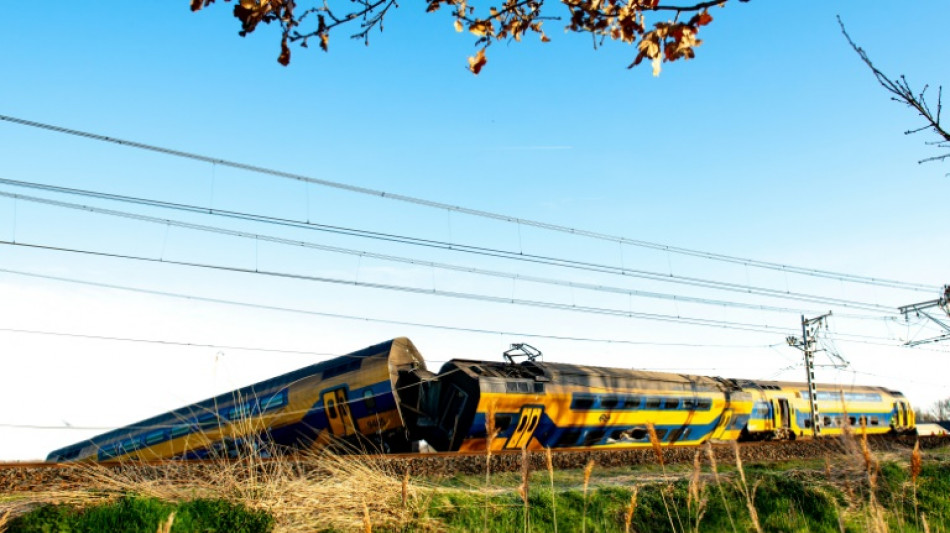 Un muerto y decenas de heridos en un accidente de tren en Países Bajos