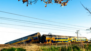 Un muerto y decenas de heridos en un accidente de tren en Países Bajos