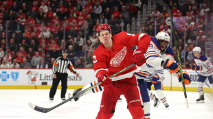 NHL: Seiders Siegesserie mit Detroit gestoppt