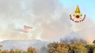 Incendi boschivi, 23.272 interventi vigili del fuoco dal 15/6