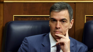 Démission ou pas ? L'Espagne suspendue à l'annonce de Pedro Sánchez