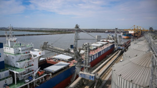 Romania Black Sea port braces for more Ukrainian grain