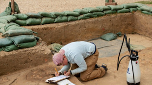 Jamestown, cradle of America, threatened by rising seas