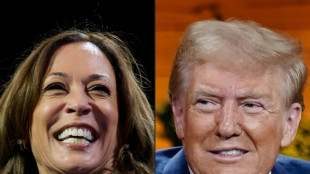 Recta final entre Harris y Trump empatados en las encuestas