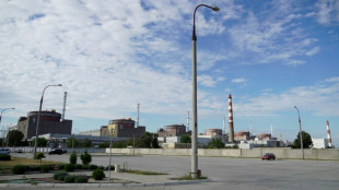 A year on, Ukraine's embattled nuclear plant turned Russian 'military base'