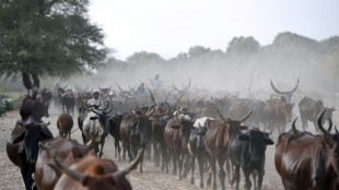 Doce muertos en Chad en enfrentamientos entre ganaderos y campesinos