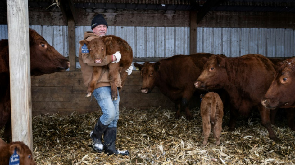 Agricultores republicanos de Iowa preferem DeSantis a Trump 