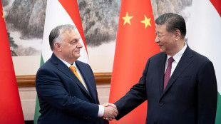 Orban trifft Xi in Peking - Bundesregierung geht auf Distanz