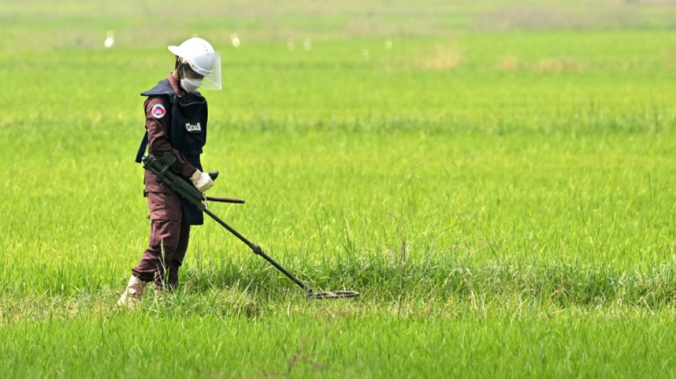 Cambodian farmers risk lives for rice as US freezes demining aid