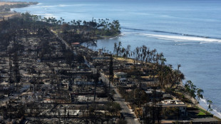 Hawái anuncia un acuerdo de USD 4.000 millones en demandas por incendios forestales