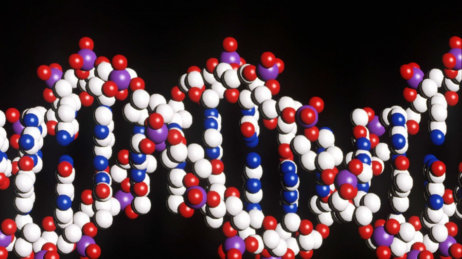 Nel Dna delle cellule persistono per anni danni non riparati