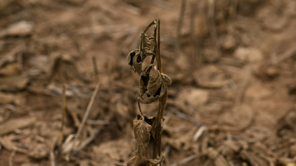 Historic drought adds to Argentina's economic woes