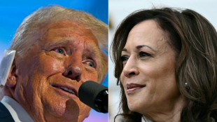 Harris in neuer Umfrage knapp vor Trump