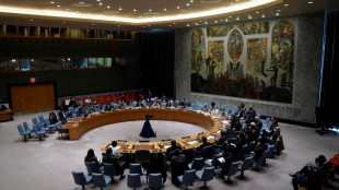 Somalie: le Conseil de sécurité de l'ONU crée une nouvelle force de paix contre les shebab