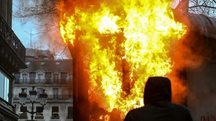 'France burns': World watches as anger at Macron's reforms grows