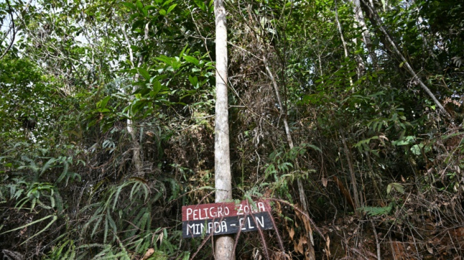 Colombie : la guérilla de l'ELN annonce la reprise des enlèvements