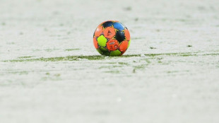 Gelo e neve forçam adiamento do jogo entre Mainz e Union Berlin