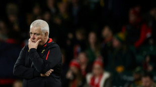 'No expectation' for Gatland's struggling Wales in Six Nations