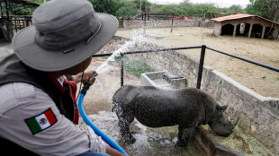 México registra 155 muertes por la temporada de calor 