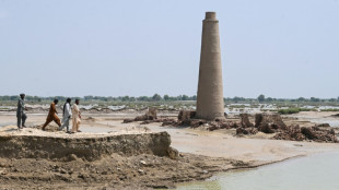 Los fabricantes de ladrillos de Pakistán, sin sustento por culpa de las inundaciones