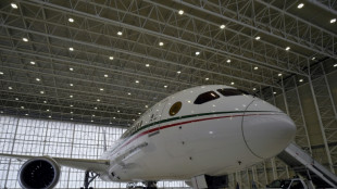 Mexico finally finds buyer for luxury presidential jet